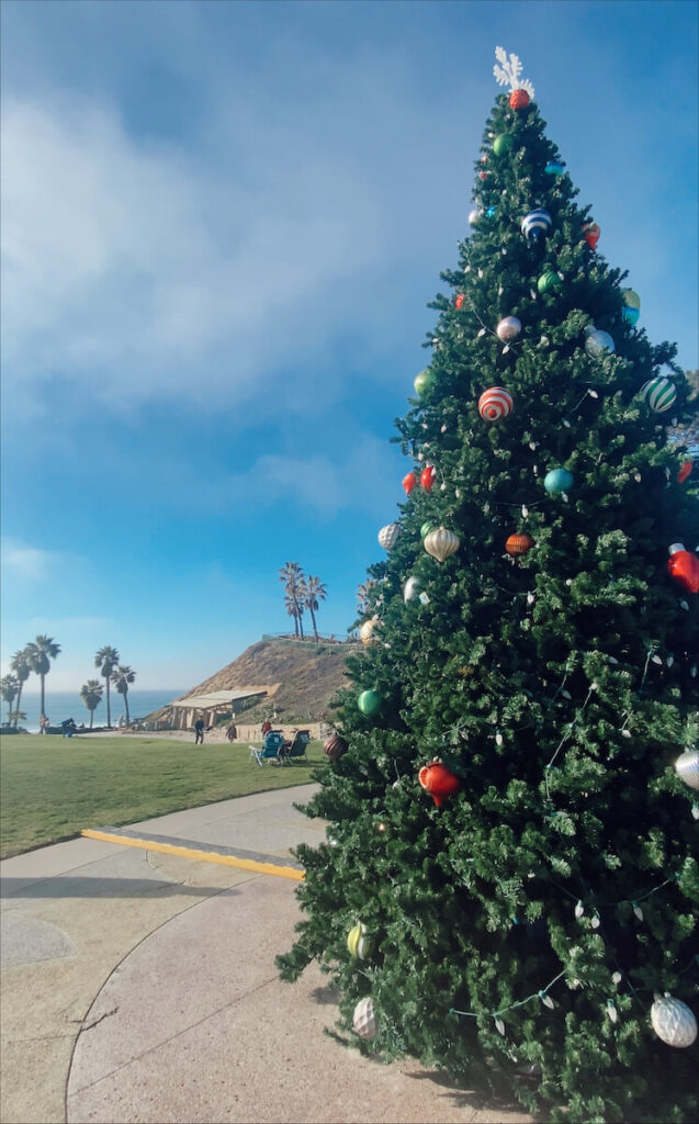 Christmas Tree at Fletcher Cove in Solana Beach