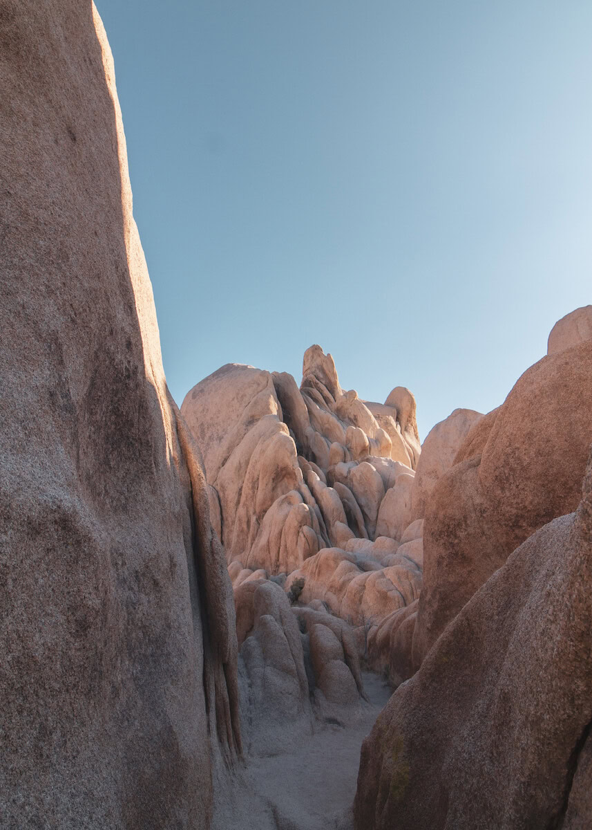 10 Best Hikes in Joshua Tree (Trails for All Skill Levels!) | Sea to ...