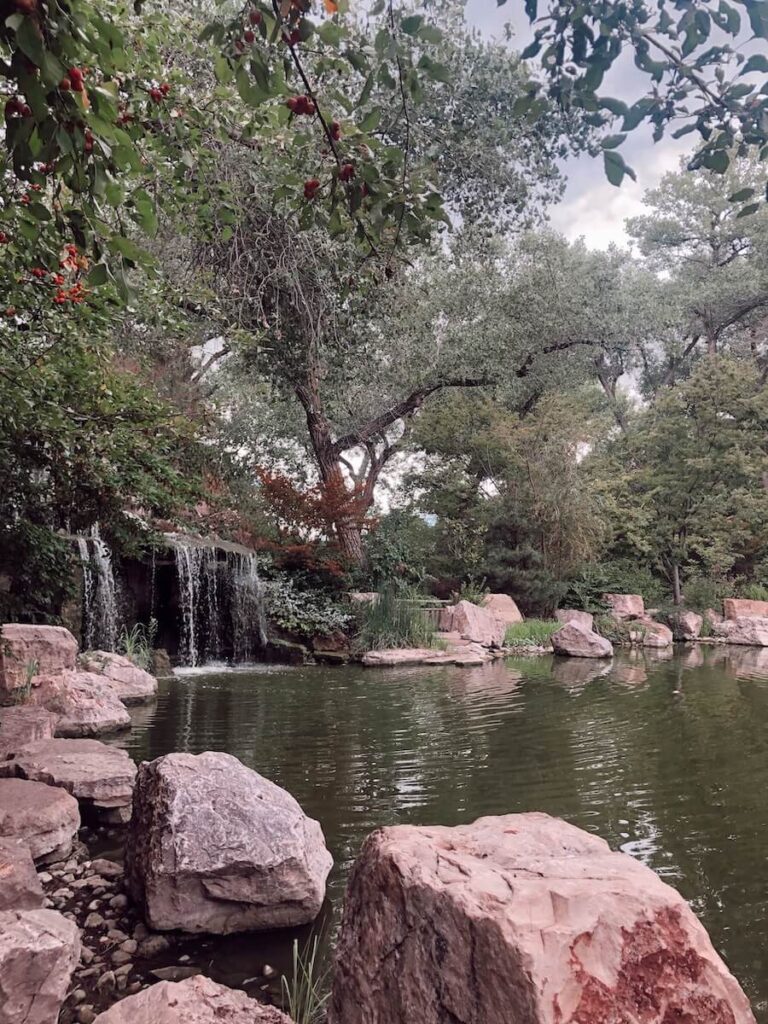 BioPark Botanic Garden in Albuquerque