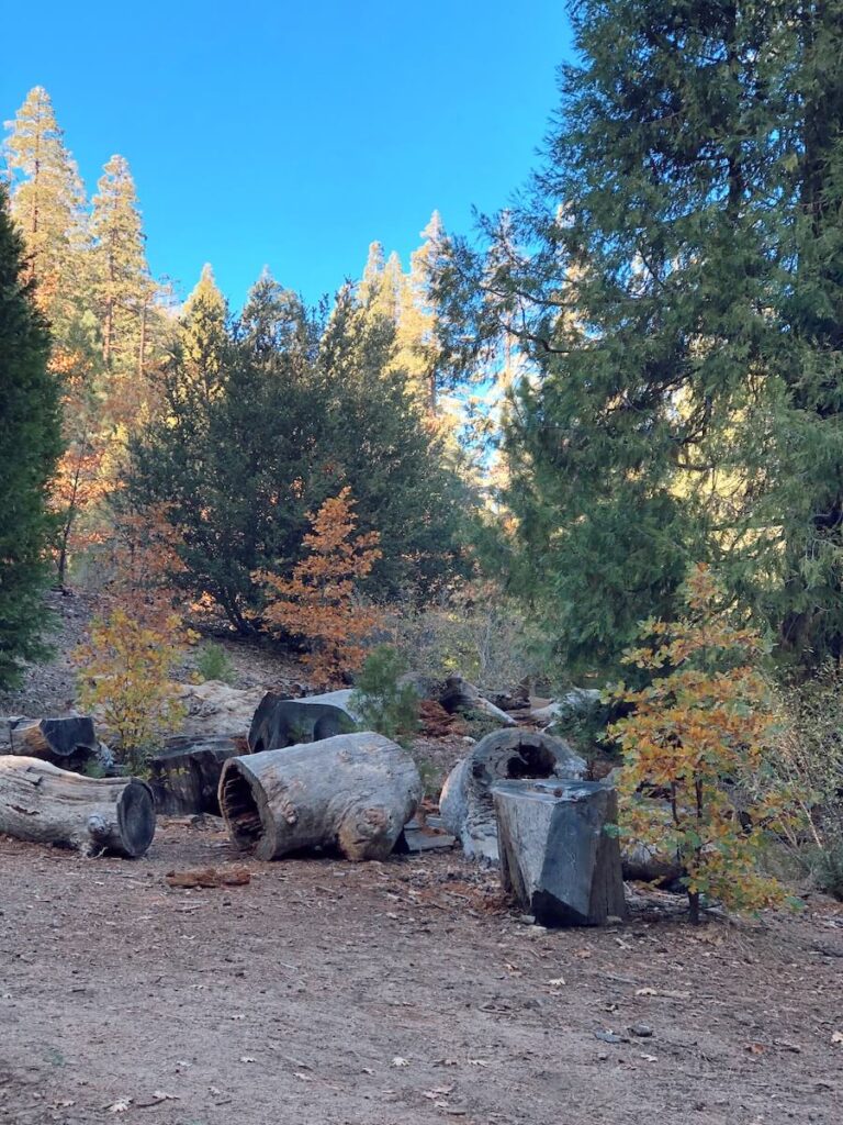 Heart Rock Trail