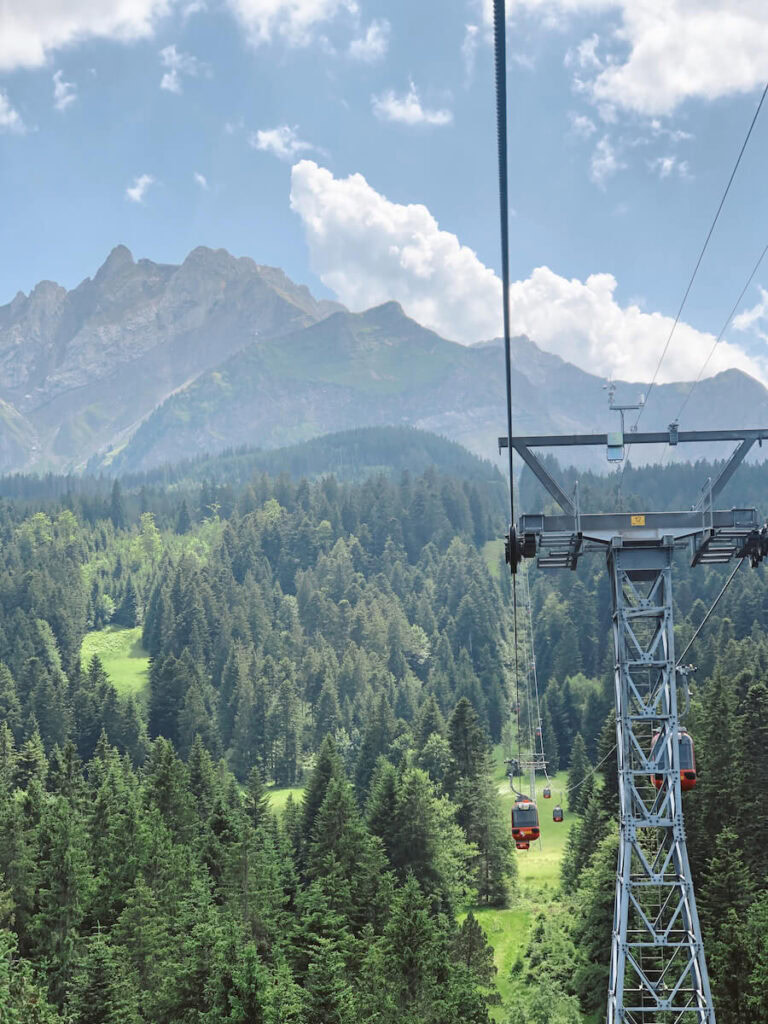 Panorama Gondola Going Down the Mountain - Sea to Sequoia