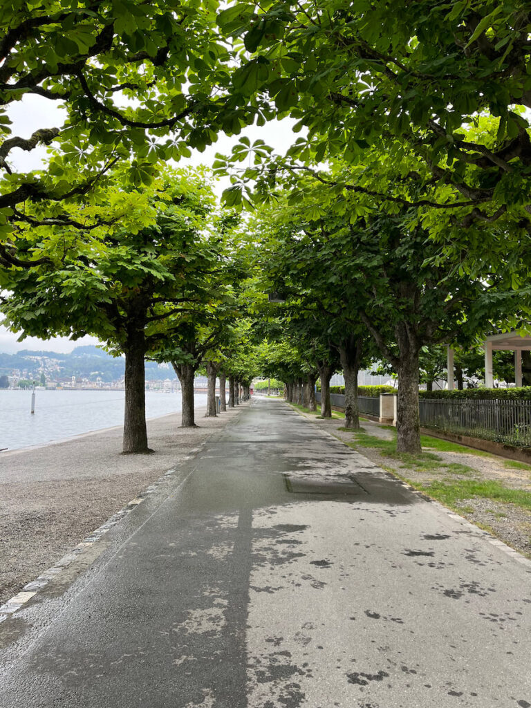 Lake Lucerne Path