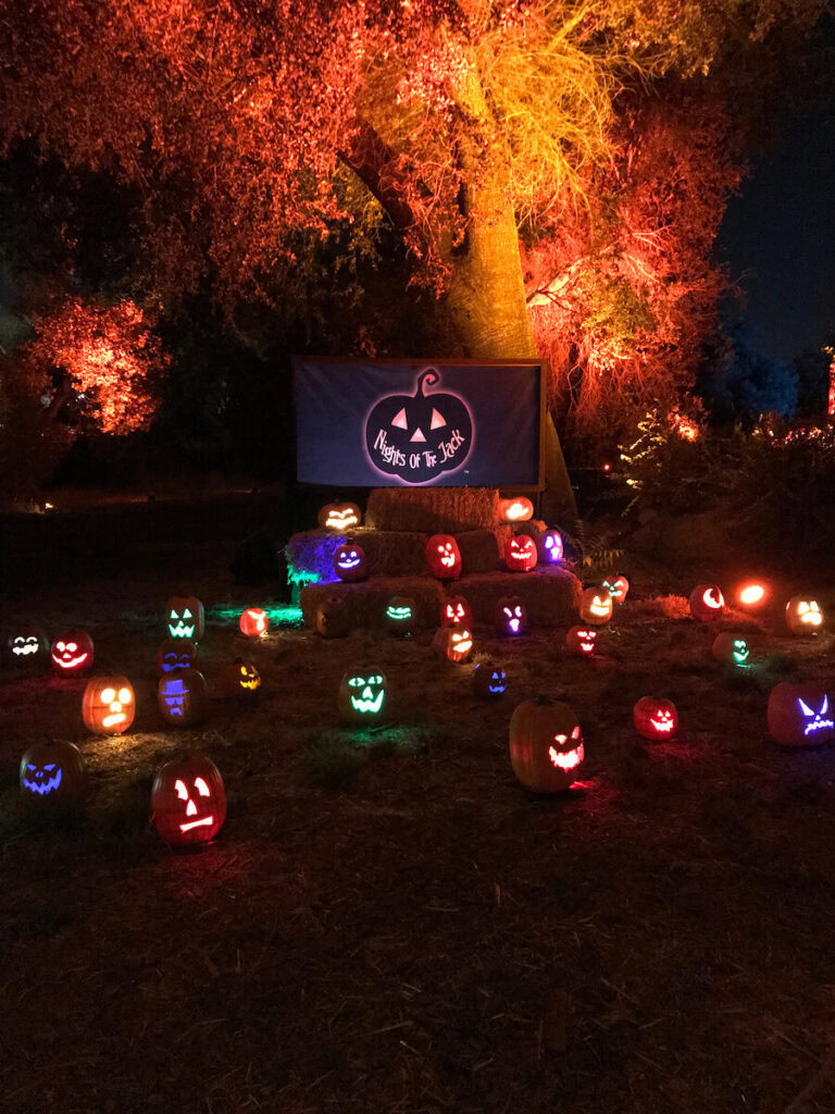 Nights of the Jack Pumpkin Display - Sea to Sequoia