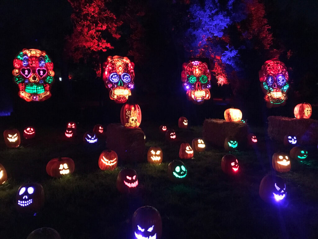 Nights of the Jack Pumpkin Display - Sea to Sequoia