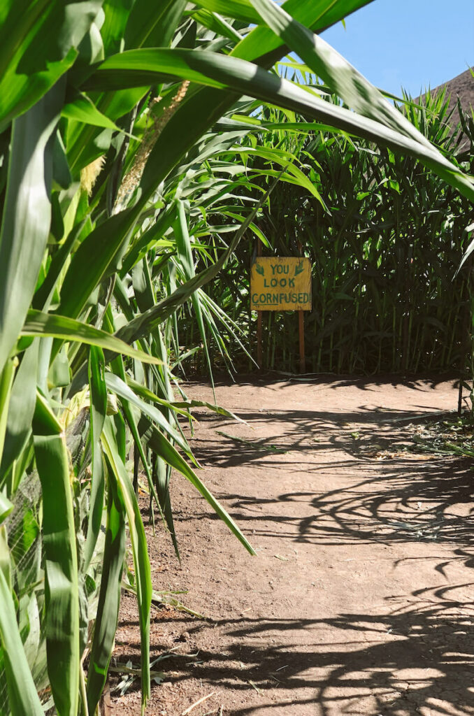 Corn Maze at Underwood Family Farms