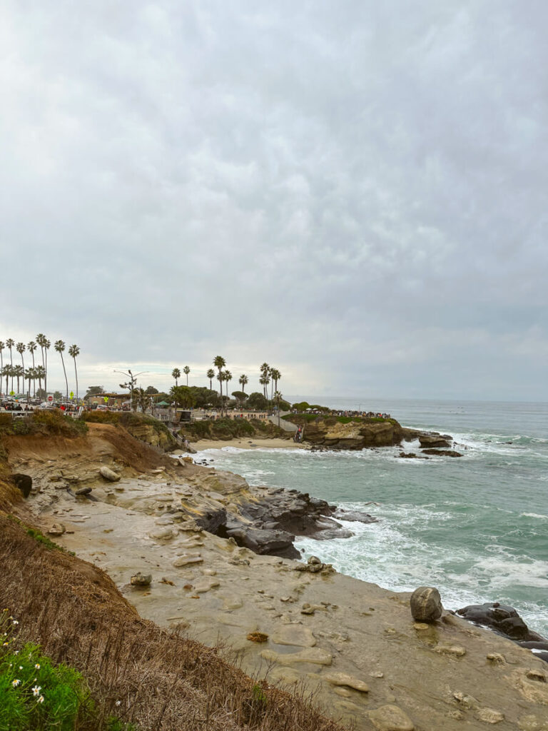 A view of La Jolla Cove Beach from on top of the coastal cliffs on a cloudy day. There are palm trees lining the cliffs. 