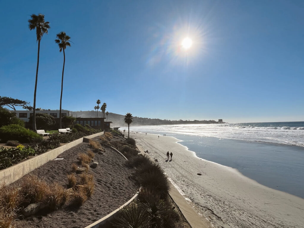 View of the boardwalk along the beach on the left, with some palm trees scattered along the path. The ocean is to the right. 