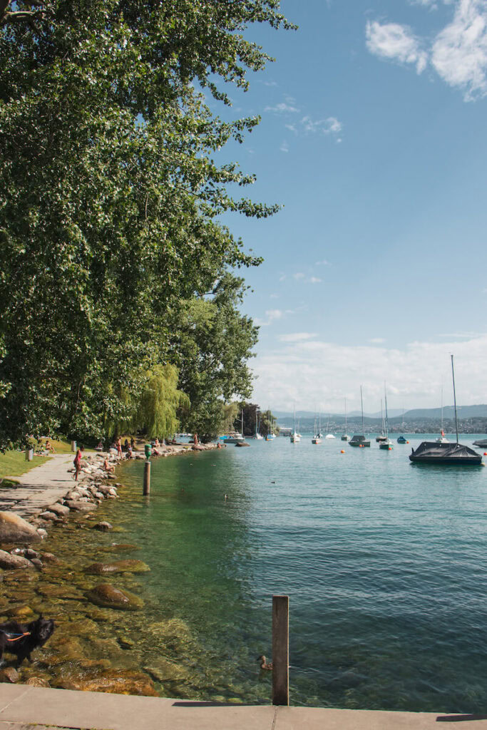 Lake Zurich