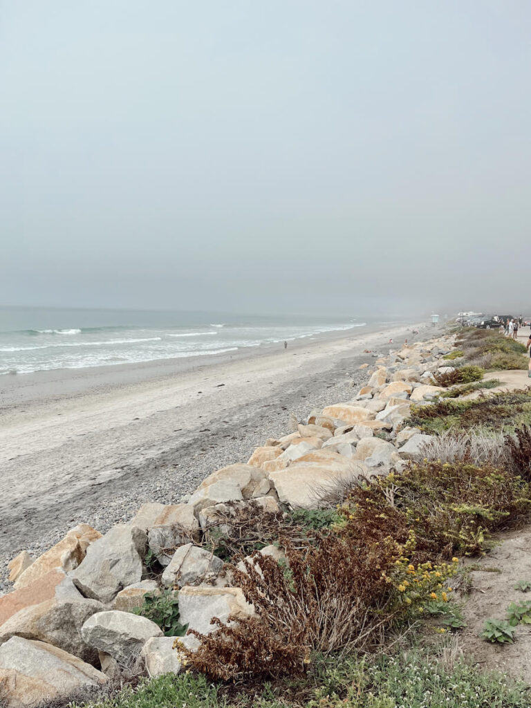 Torrey Pines State Beach Coastline