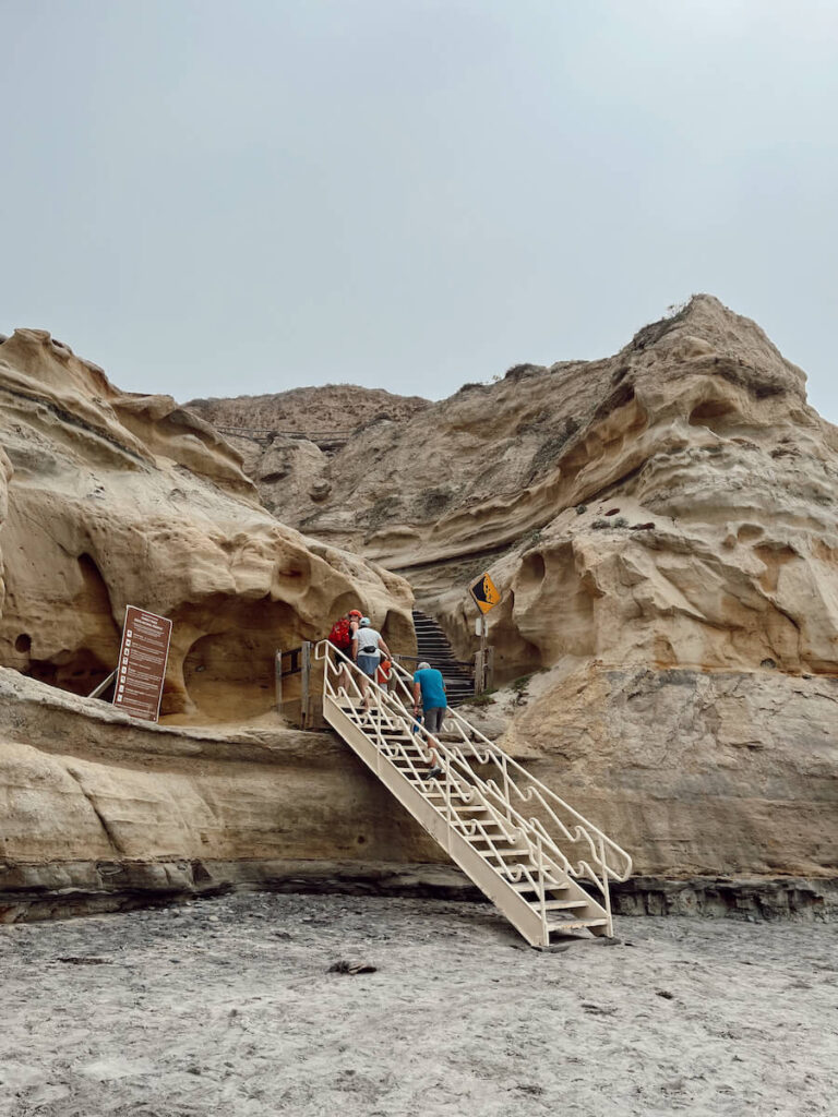 Stairs leading up the coastal bluff at Torrey Pines State Beach