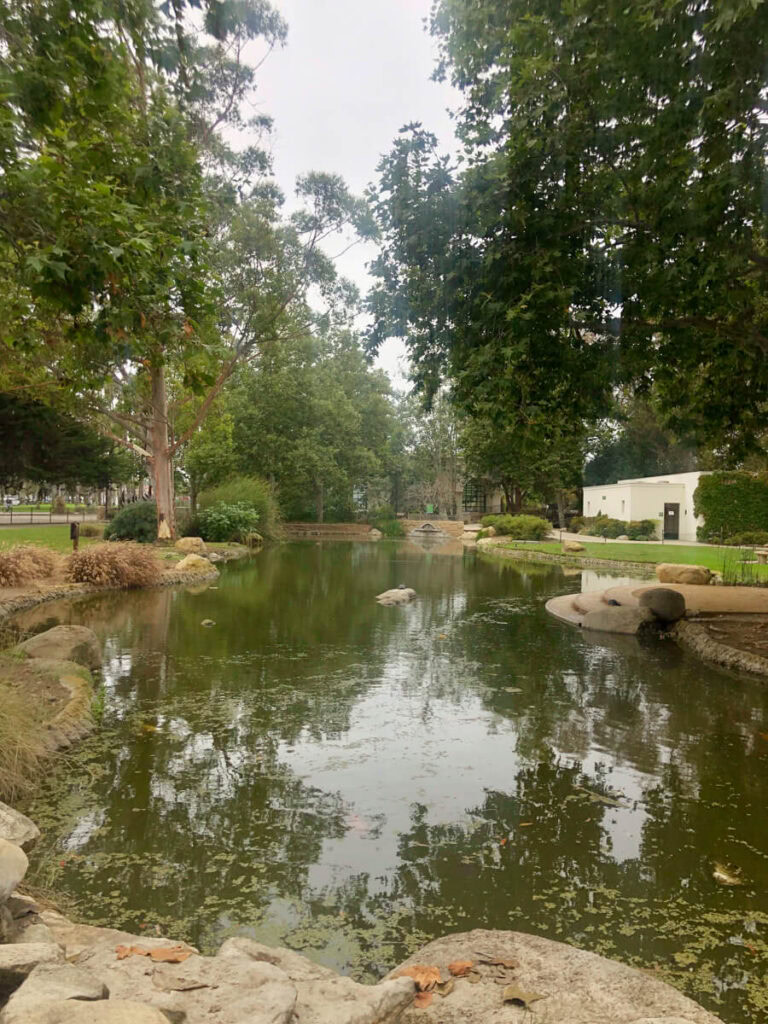 Chase Palm Park Pond