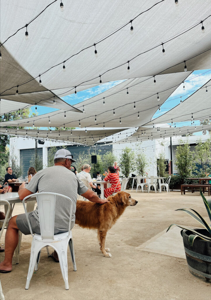 Dog at the Outdoor Patio at Pali Wine