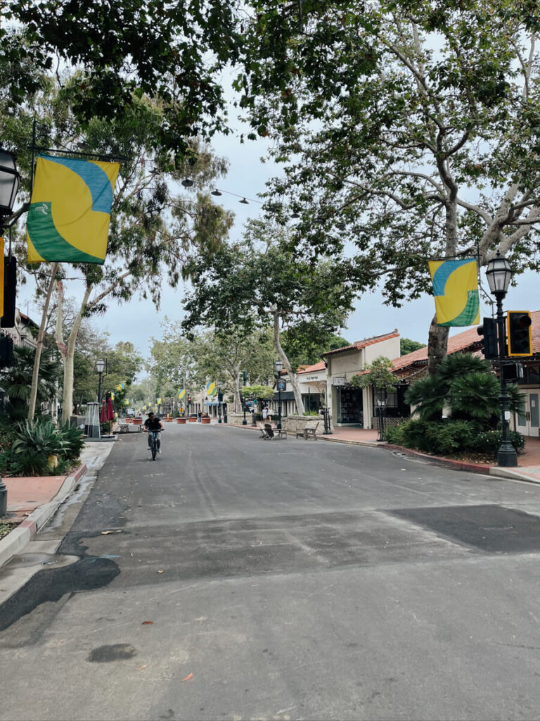 Pedestrian Path on State Street