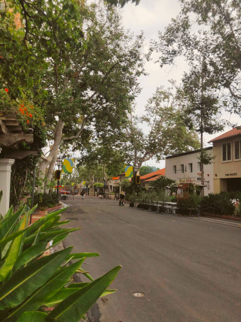 Walking Path on State Street