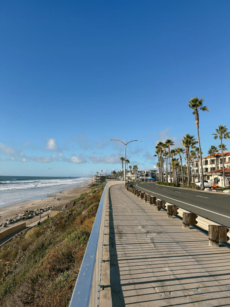 A walking path alongside Carlsbad Boulevard. Carlsbad State Beach is on the left, and there are palm trees lining the road.