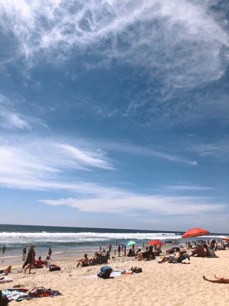 Carlsbad State Beach