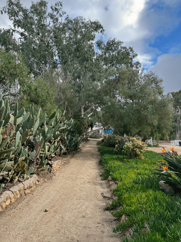 A dirt path with lush landscaping on either side at Leo Carrillo Ranch.