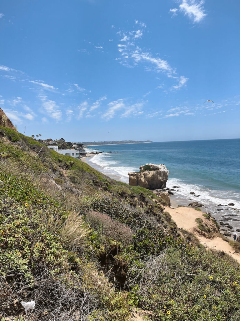 A view of El Matador Beach from above, with the ocean to the right and an ocean bluff covered in plants to the left.