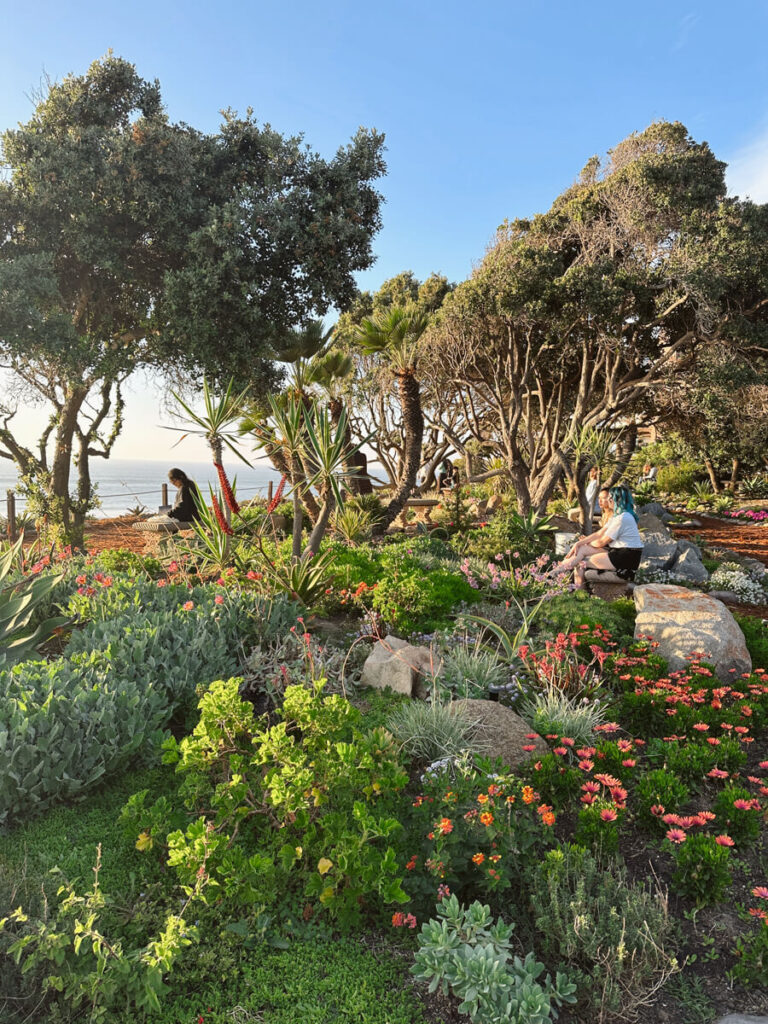 A wide variety of both short and tall plants, including beautiful trees and pink and orange flowers. Some visitors are sitting and meditating while looking out at the ocean, which you can see of sliver of in the background.