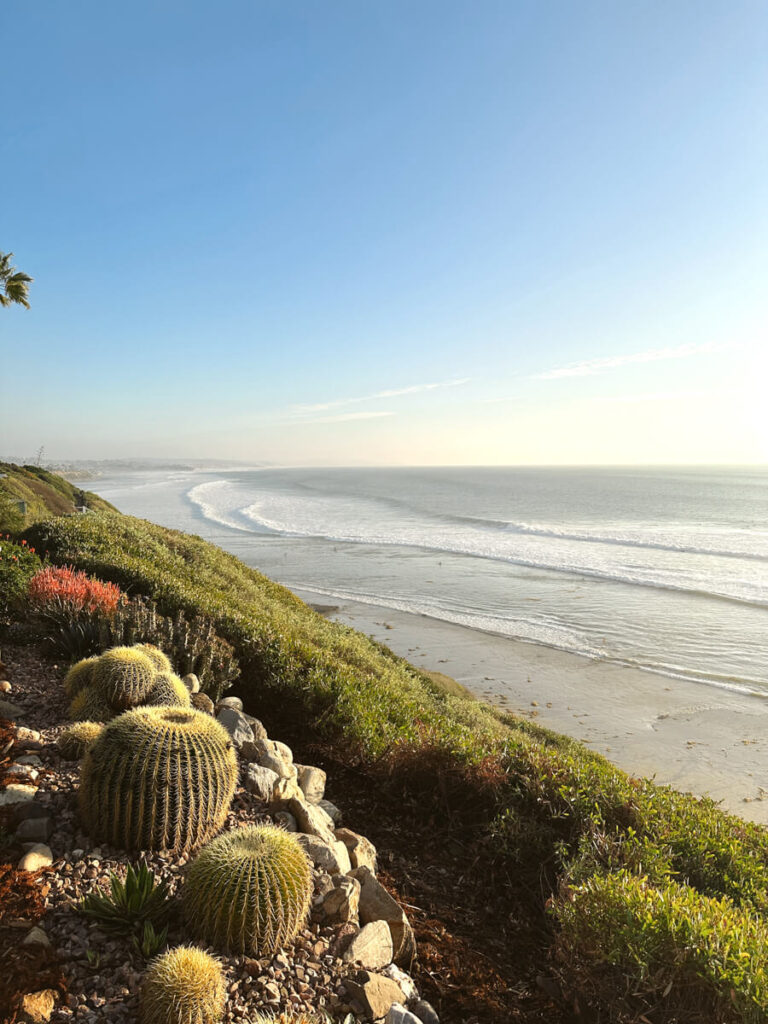 A view of the coast from above at the Meditation Garden. The ocean is on the right, and there are cacti and green shrubbery on the left.