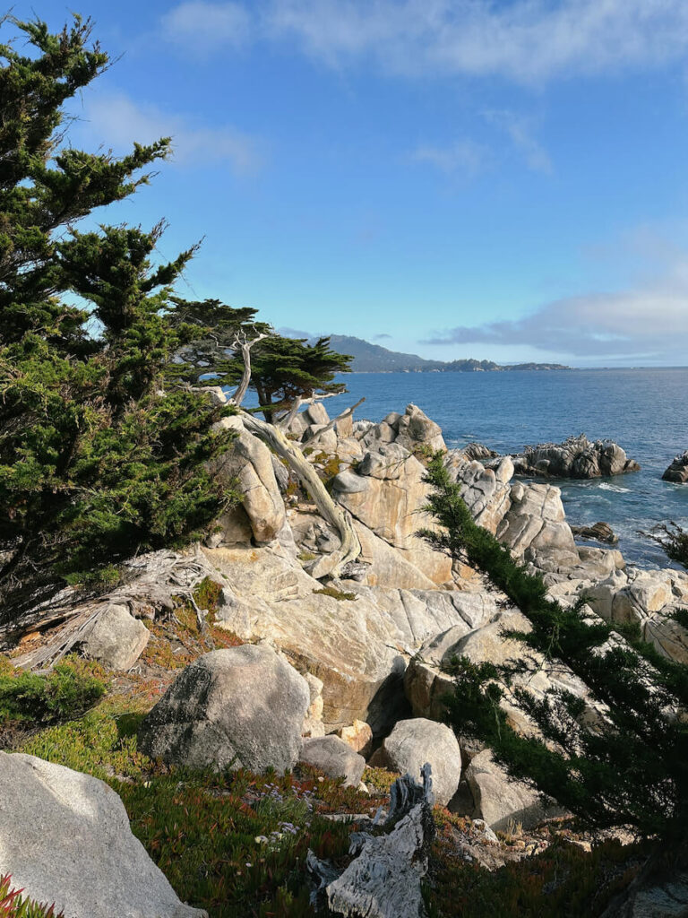 View of the rocky coast at the Ghost Cypress lookout in Pebble Beach