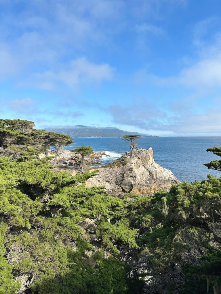 View of the Lone Cypress Tree on a rock in the ocean on a sunny day