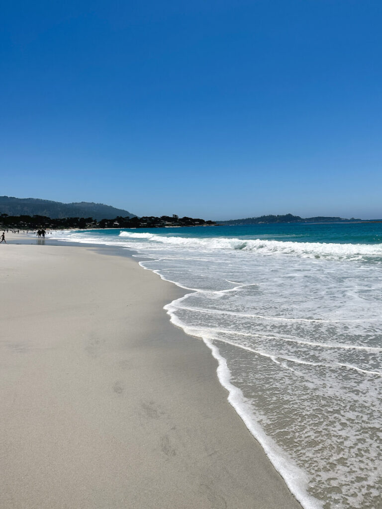 The shoreline at Carmel Beach on a sunny day