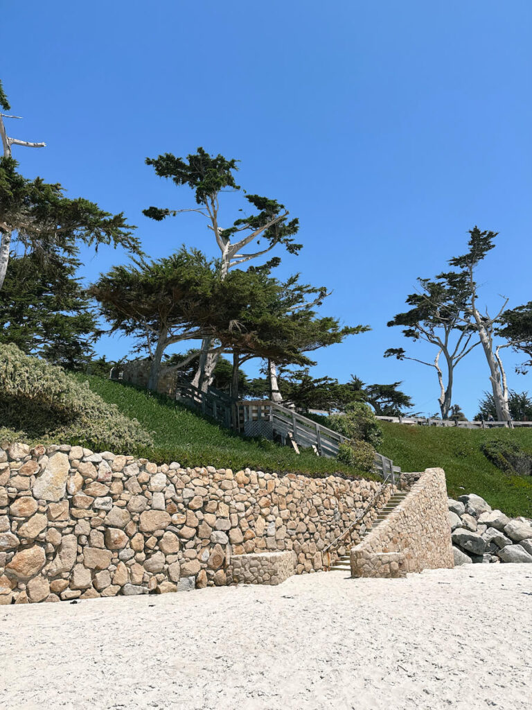 Stone stairs leading down to the beach in Carmel. There are Cypress trees at the top of the stairs.