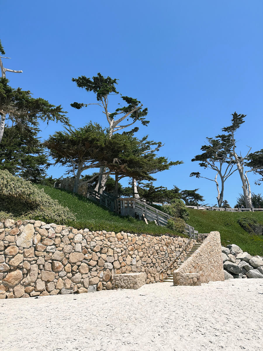 The Best Time to Visit Carmel-by-the-Sea: A Quick Guide | Sea to Sequoia