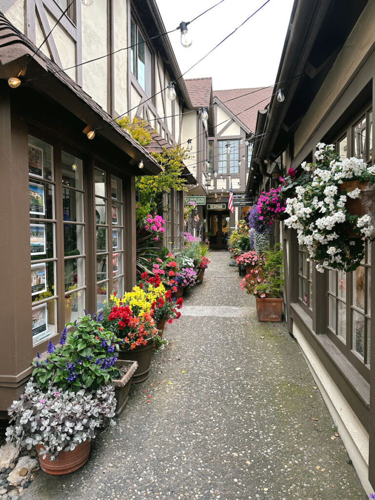 A flower-lined passageway with different storefronts in Carmel-by-the-Sea