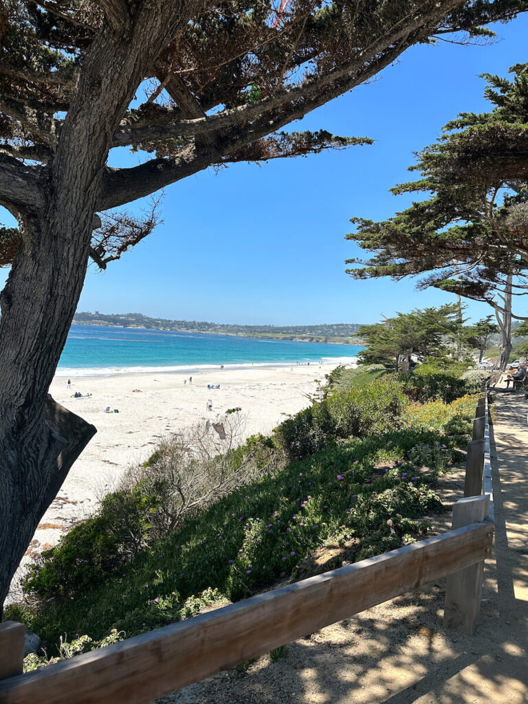 View from the walking path along Scenic Road of Carmel Beach