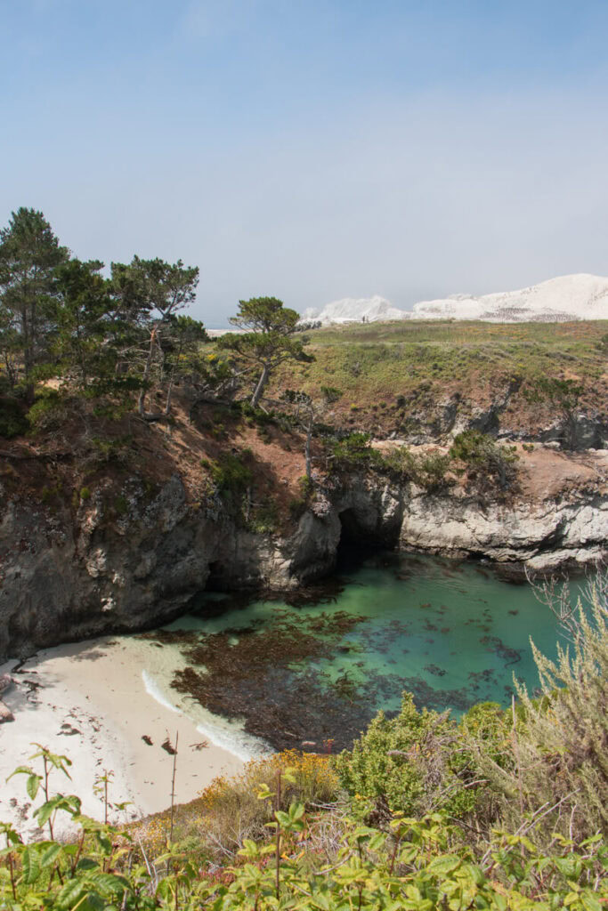 The view of China Cove from the trail above at Point Lobos