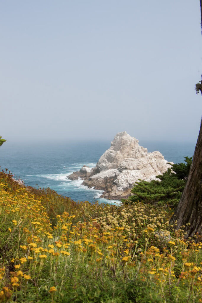 The view of a large rock in the ocean, with yellow flowers in the foreground