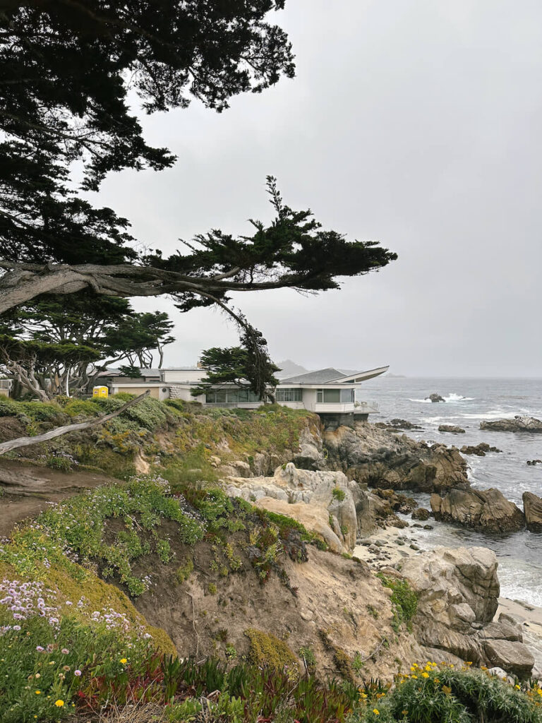 View of the Butterfly House on the coastal cliff