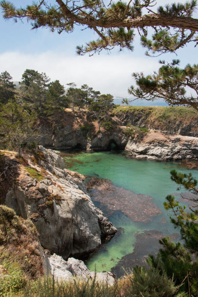 View of the emerald green water at China Cove from the Bird Island Trail