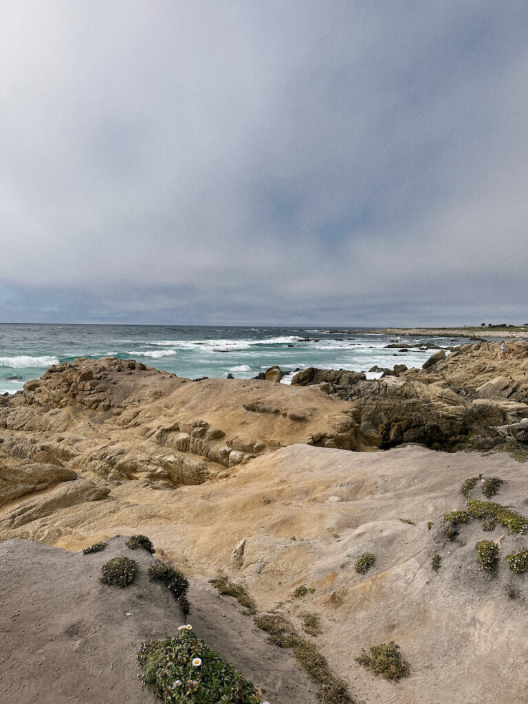 View of the short rocky coastal cliff, with the ocean in the background