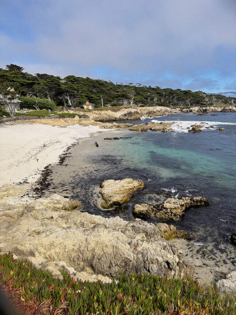 View of the coast from Cypress Point. There is a white sandy beach on the left, a clear blue calm waves washing up to the shore. 