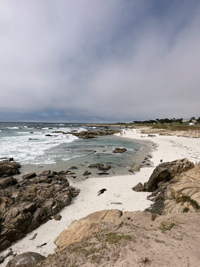 View of Granite Beach from a coastal cliff. There is a white sandy beach on the right. 