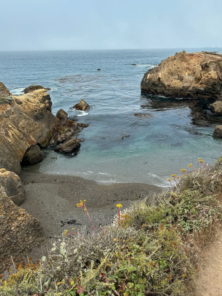 A hidden beach in Point Lobos