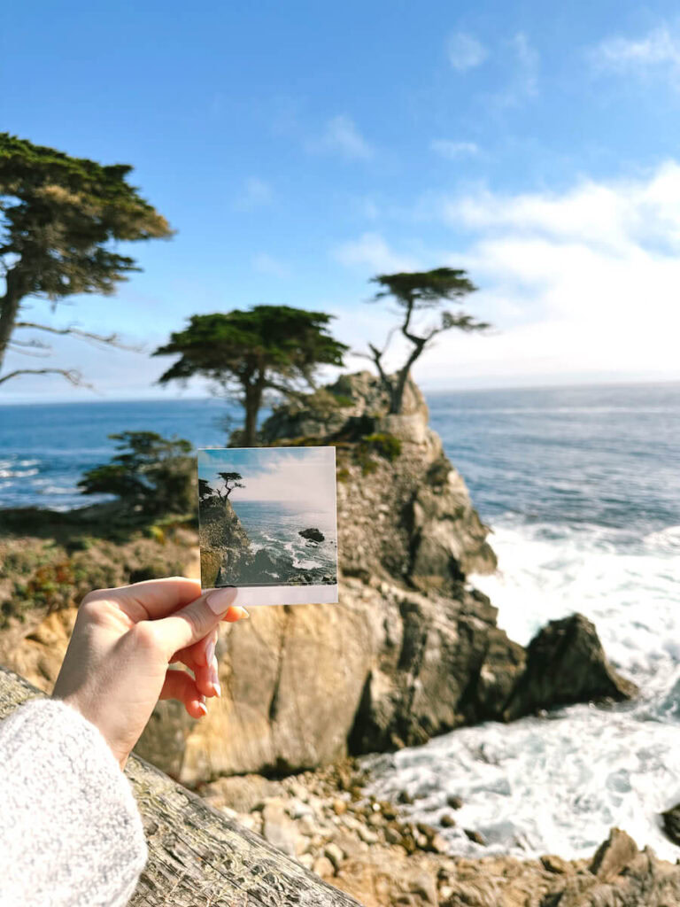 A hand holding up a polaroid photo of the lone cypress tree on the rocky cliff. An out of focus view of the same image is behind the polaroid. 