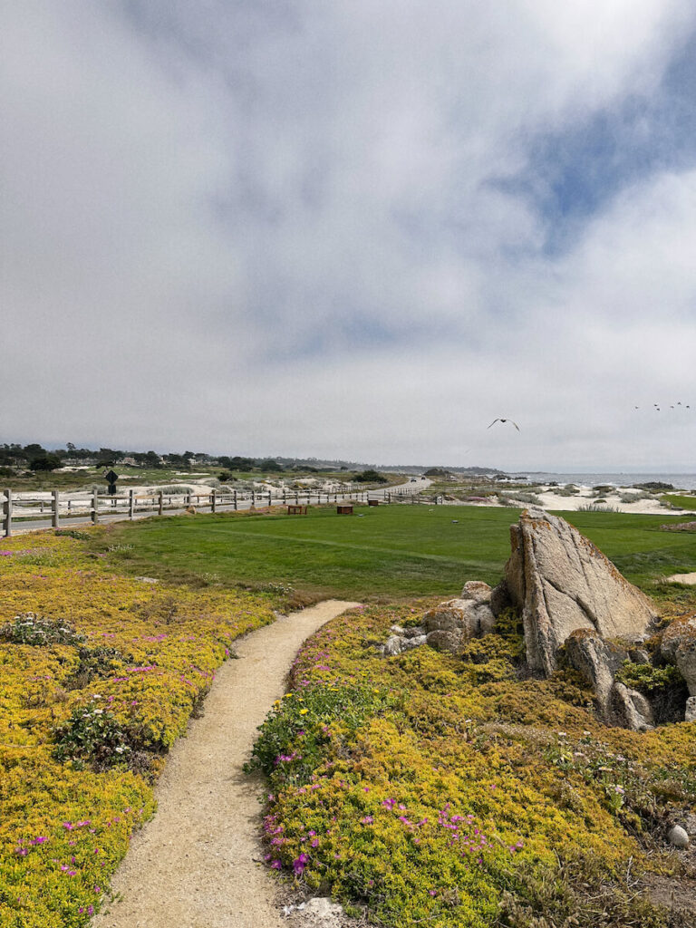 Small sandy path leading towards a golf course near Point Joe