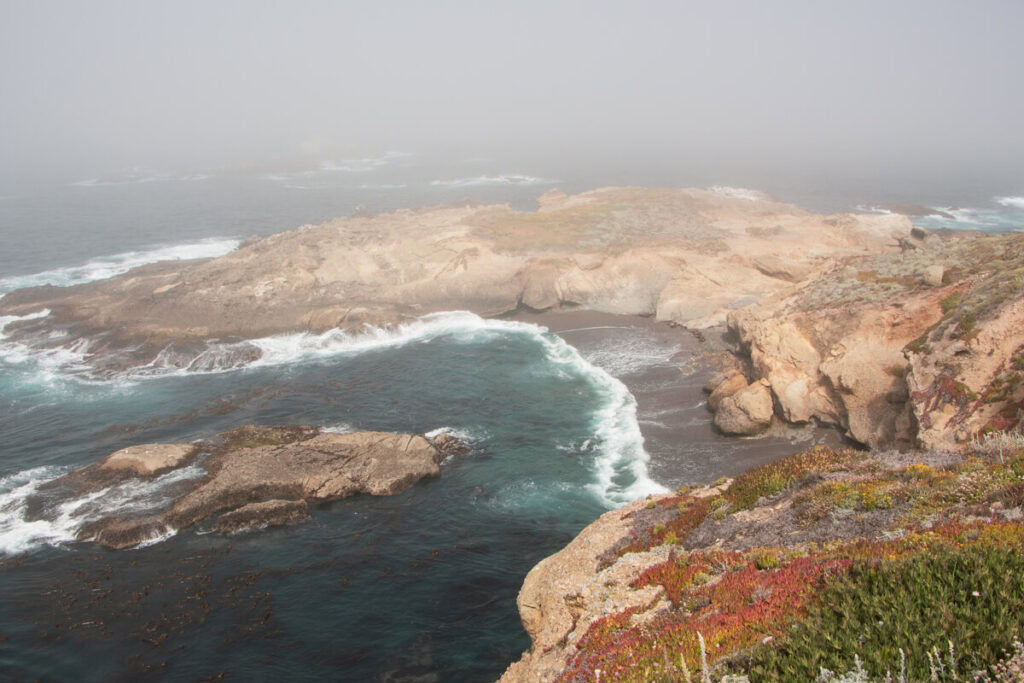 View of a dark sandy beach from Sea Lion Trail