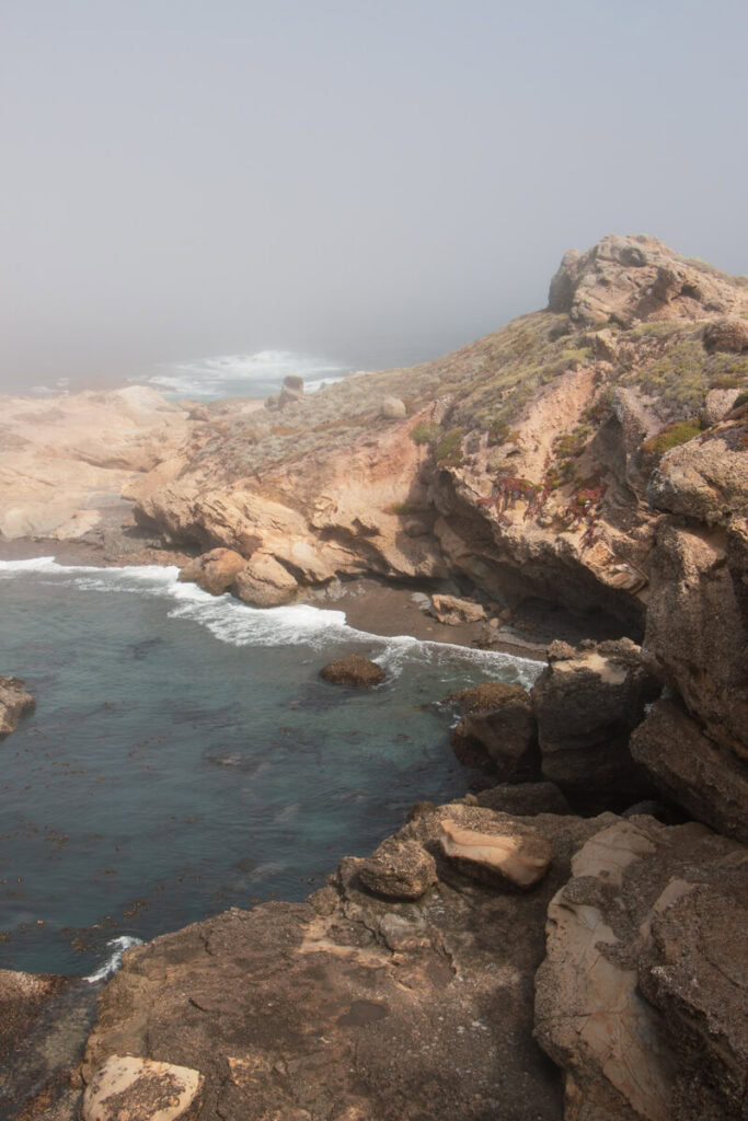 Looking down at the foggy, rocky beach along the Sea Lion Trail