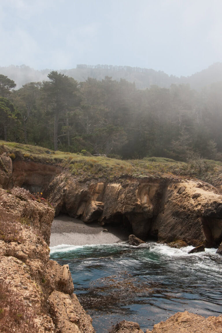 Trees amidst the fog in the background, with waves rolling onto a beach surrounded by coastal cliffs in the foreground