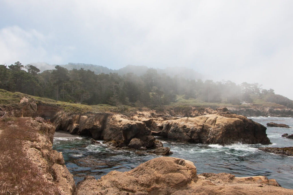 View looking down the rocky coast in Point Lobos on a foggy day