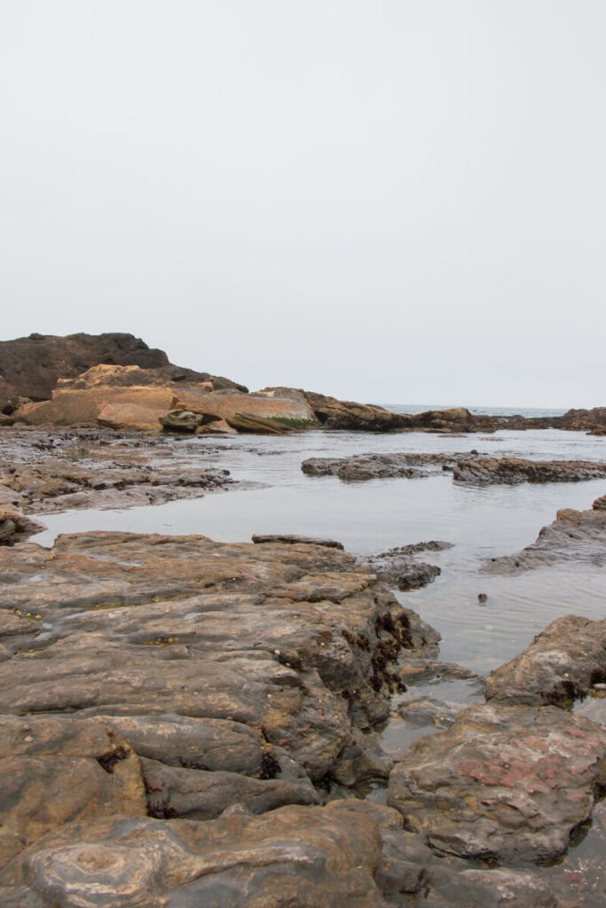 A view looking out towards the ocean from Weston Beach