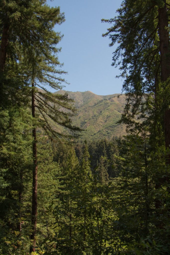 View of the Santa Lucia Mountains through redwood trees