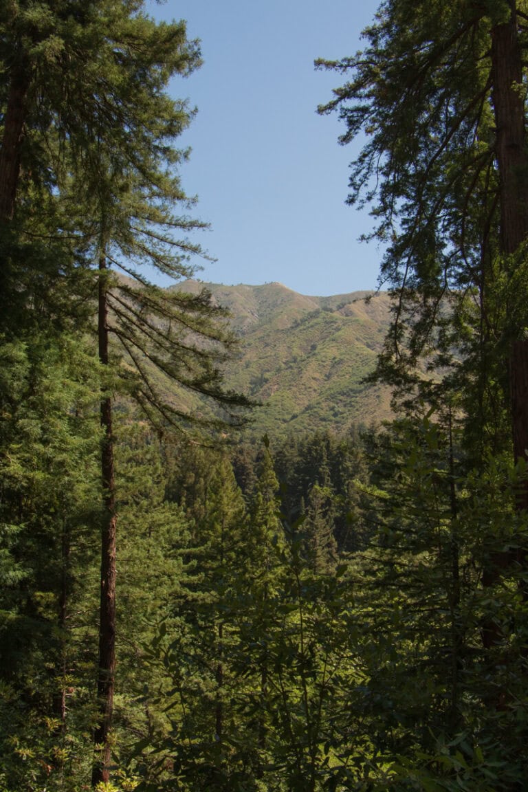 The Complete Big Sur Travel Guide: What You Need to Know for Your Visit