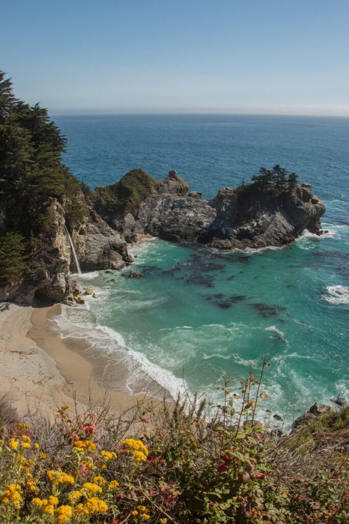 Looking down at McWay Falls crashing down onto the beach. There are yellow flowers in the foreground