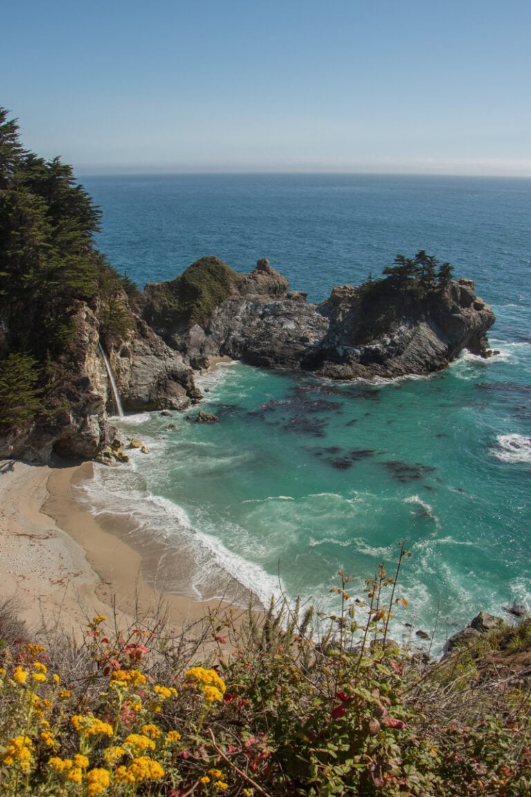 Looking down at McWay Falls crashing down onto the beach. There are yellow flowers in the foreground